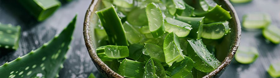 Can Aloe Vera Help Relieve Back Pain? Discover the Simple Drink That Soothes Inflammation