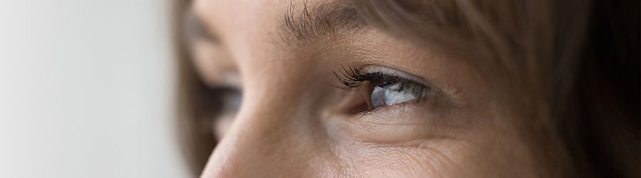 8 Herbs That Strengthen Eyesight and More: A Natural Approach to Vision